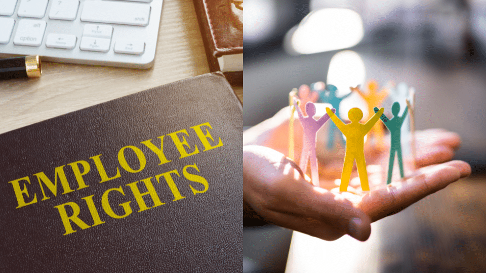 employee rights and other consideration