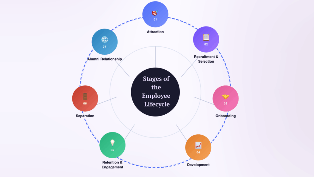 Circular diagram of employee lifecycle stages attraction, recruitment, onboarding, development, retention, separation, alumni.