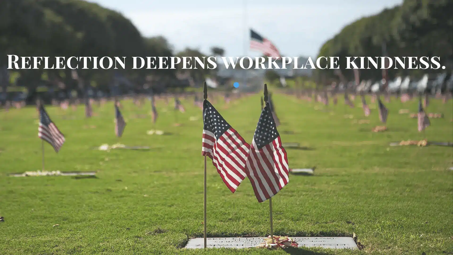 American flags placed on graves in a cemetery, honoring the fallen heroes.
