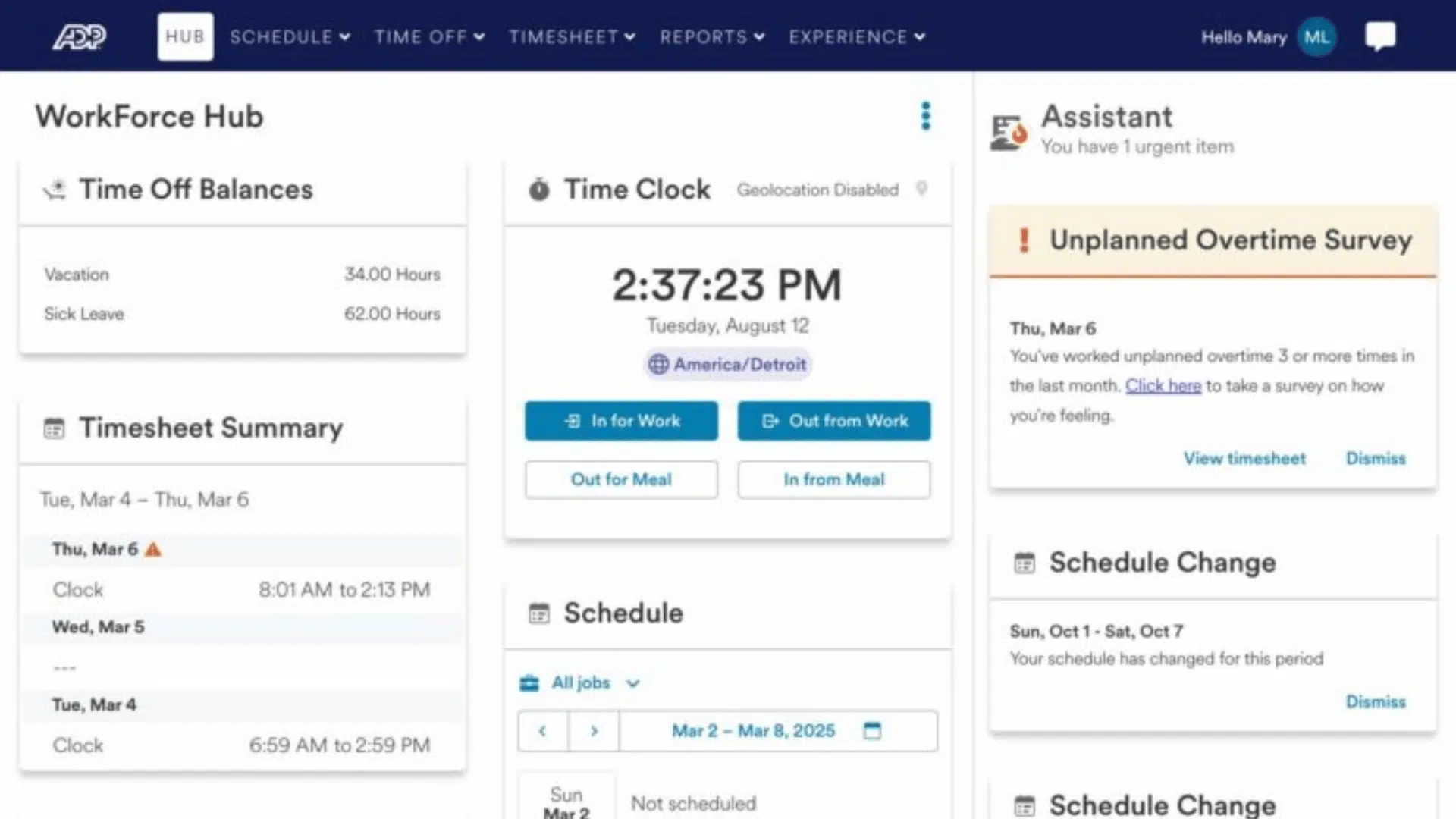 ADP Workforce Hub dashboard showing time clock, time off balances, timesheet summary, schedule, and overtime alerts.